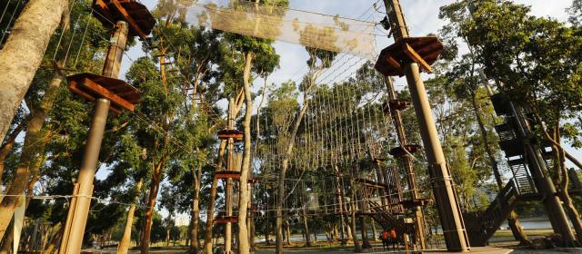 forest adventure singapore