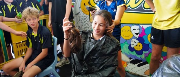 AIS Shark Shave 2024